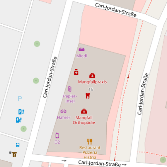Kartenansicht Carl-Jordan-Straße 16